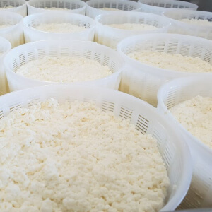 Ricotta, One of Italy's Greatest Dairy Inventions
